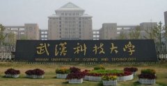 武漢科技大學(xué)MPA廣東班調(diào)劑簡章