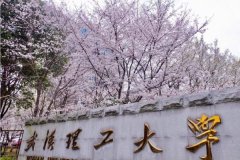 廣東MBA考研調(diào)劑武漢理工大學有什么條件？