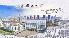 深圳MPA調(diào)劑：2021湖北大學MPA預(yù)調(diào)劑信息